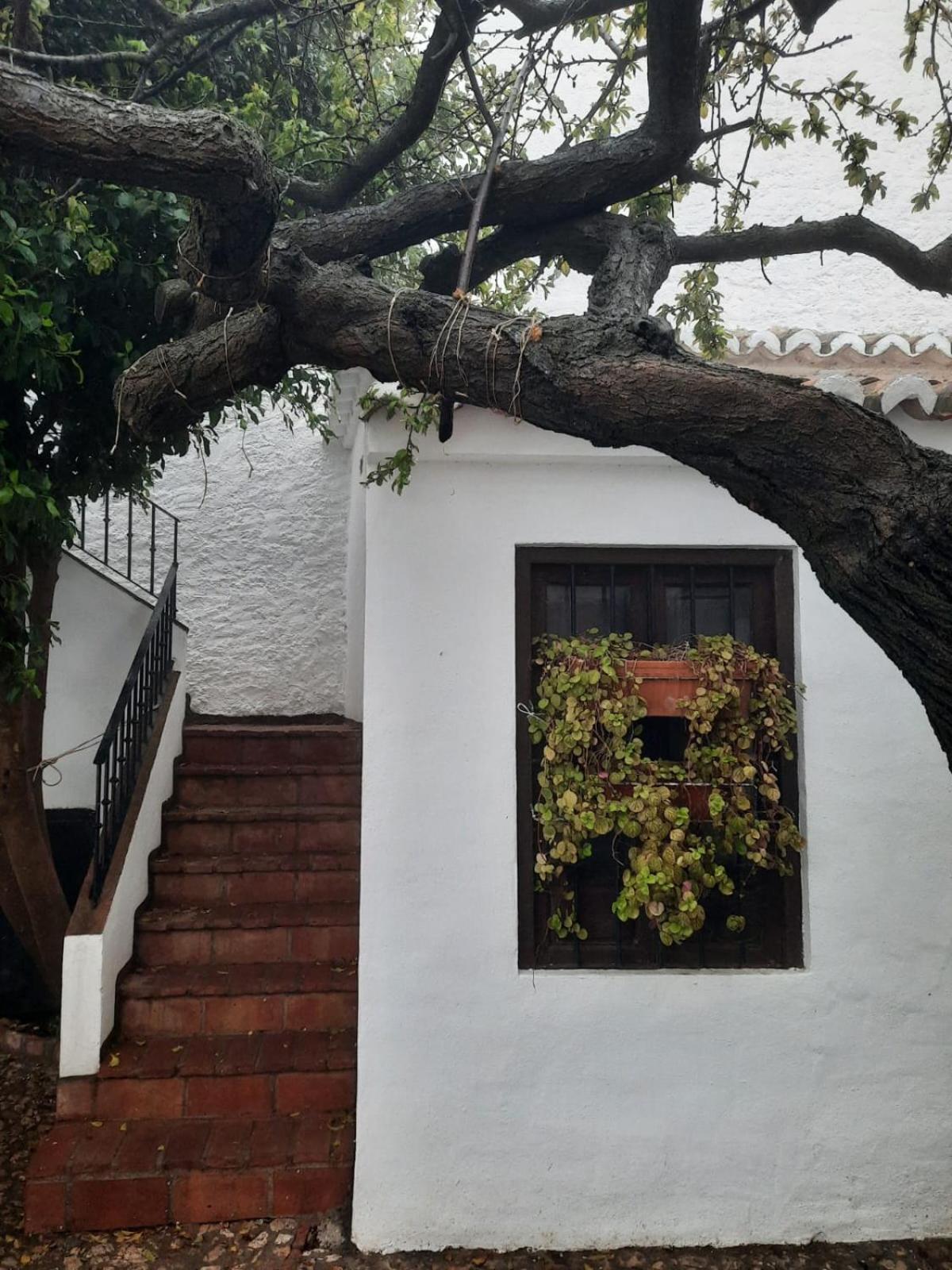 Hotel Rural Verde Oliva Comares Chambre photo