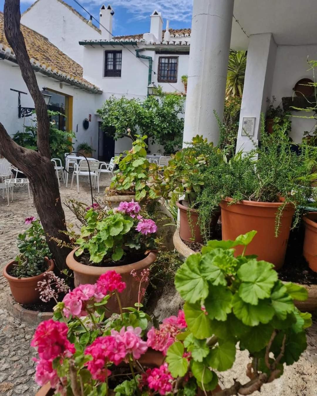 Hotel Rural Verde Oliva Comares Extérieur photo