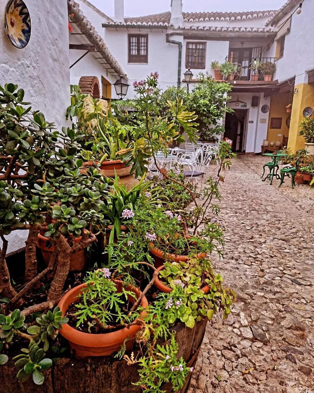 Hotel Rural Verde Oliva Comares Extérieur photo